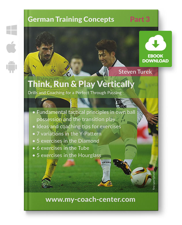 Think, Run & Play Vertically (eBook)